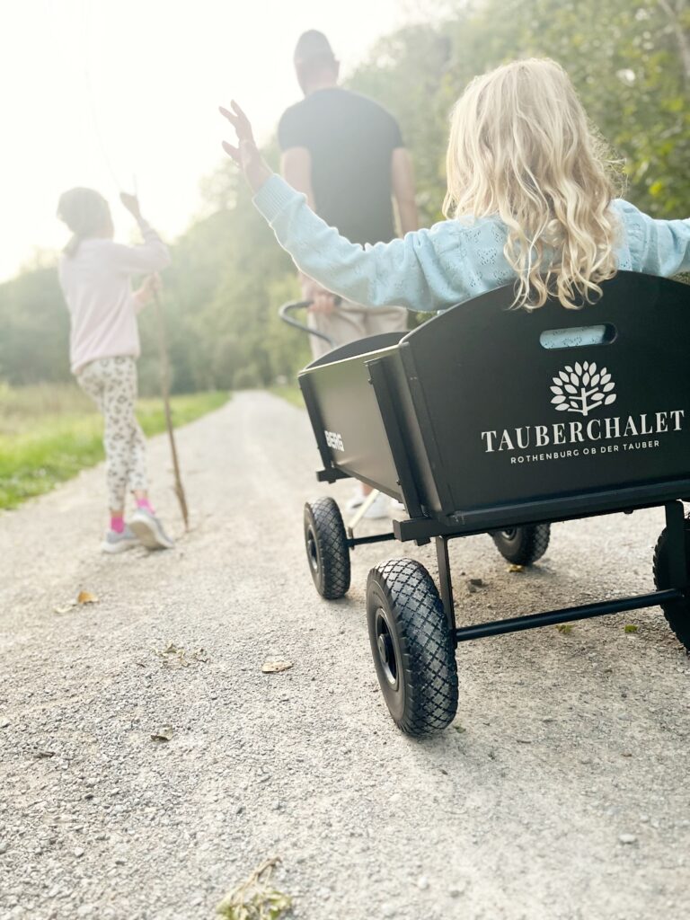 bollerwagen_kinder_familienfreundlichkeit_tauberchalet