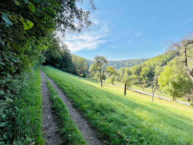 wandern_herrlich_rothenburg_taubertal_tauberchalet