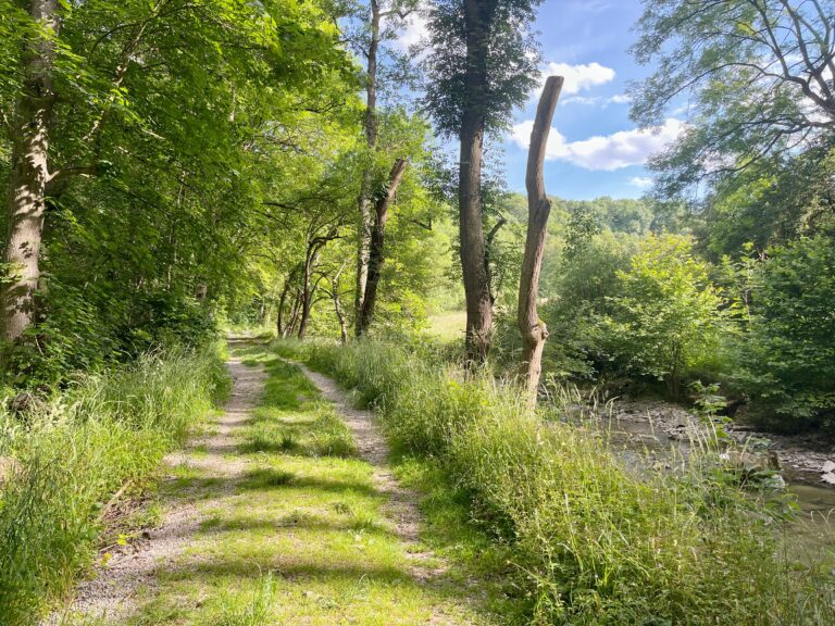 wandern_schandtauber_natur_outdoor_tauberchalet