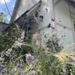 Eingangsbereich_TauberChalet_Schmetterlinge_Gartendesign