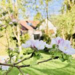 garten_wellness_ferienhauss_tauberchalet_rothenburg_natur_design_sauna_trampolin_sandkasten
