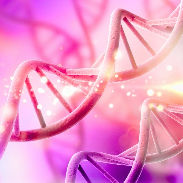 zellpower_glow_pinkbiohacking_mitochondrien_detox_retreats_hashimoto_reset_stoffwechsel_tauberchalet_frauen