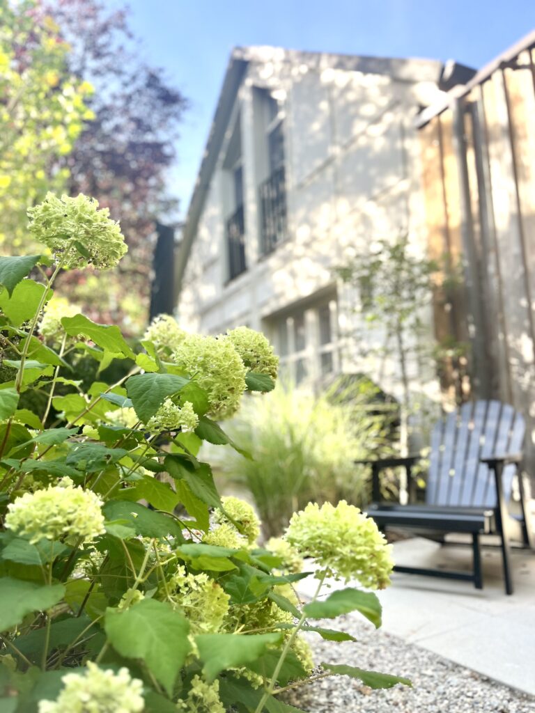 tauberchalet_maedelswochenende_design_ferienhaus_private_spa_wellness_natur_longevity